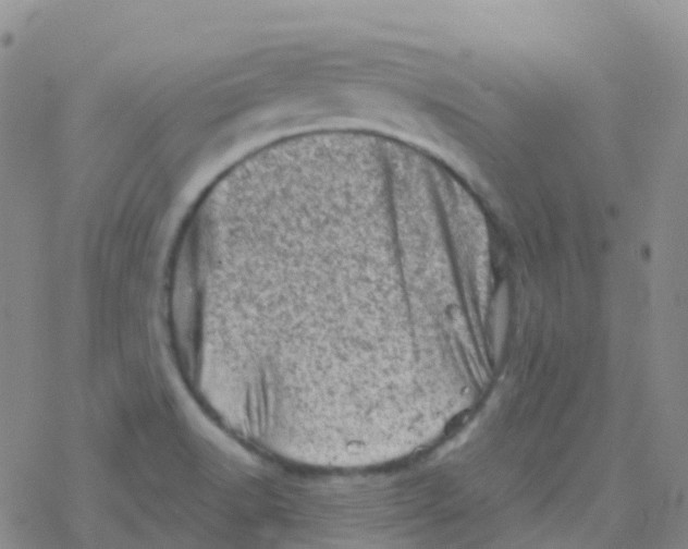 X0000076301518200610271901