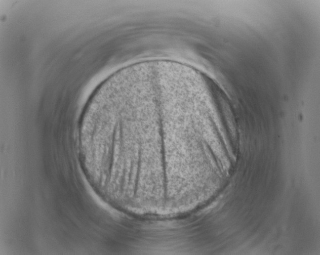 X0000076301519200610271901