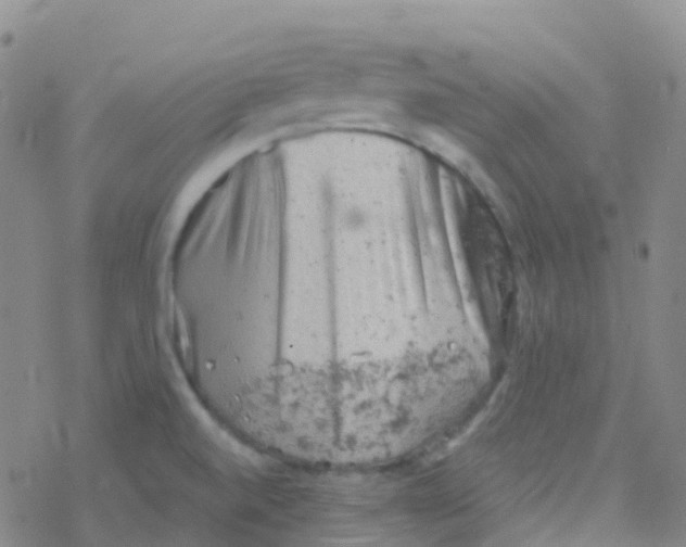 X0000076301520200610271901