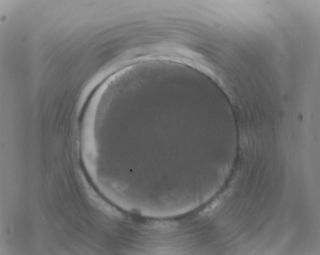 X0000076301522200610271901