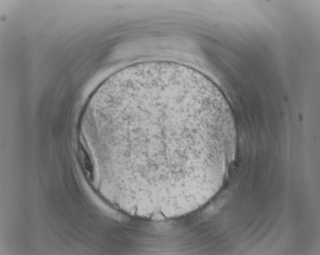 X0000076301523200610271901