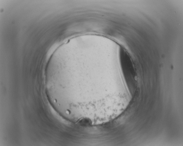 X0000076301524200610271901