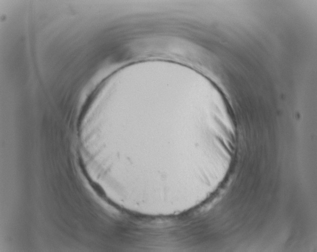 X0000076301525200610271901