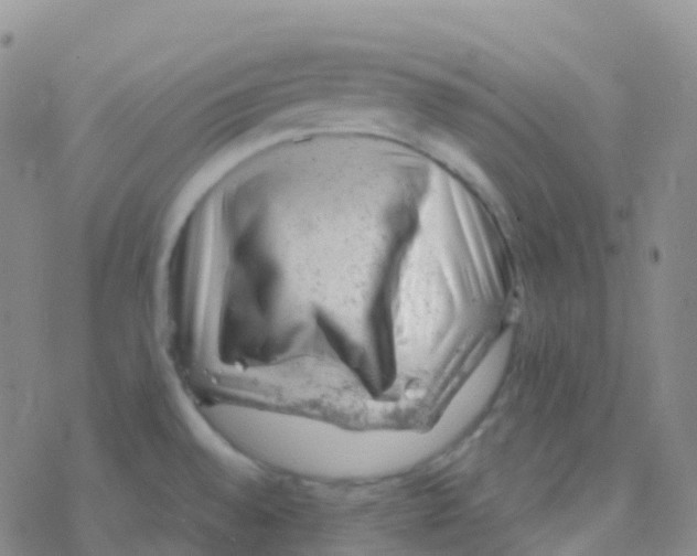 X0000076301528200610271901