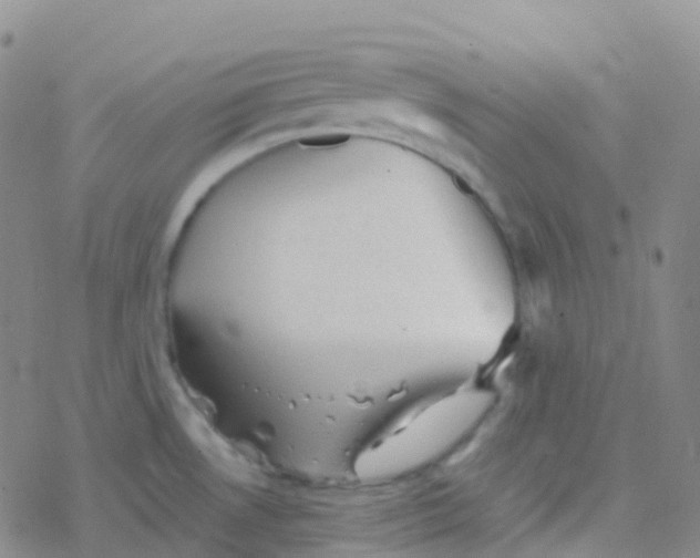 X0000076301530200610271901