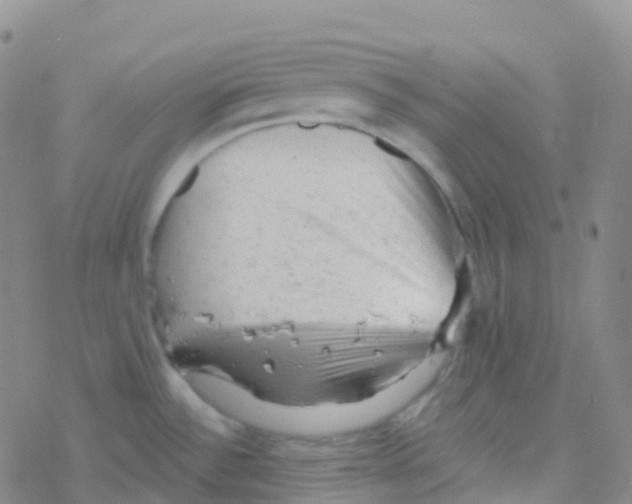 X0000076301532200610271901