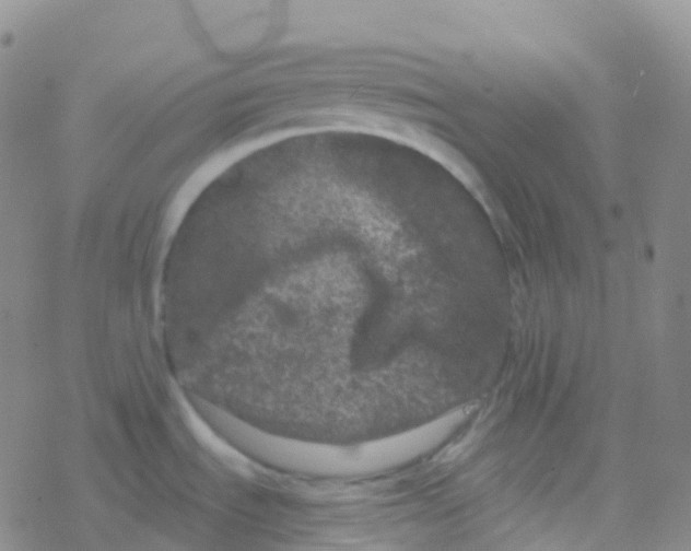 X0000076301535200610271901