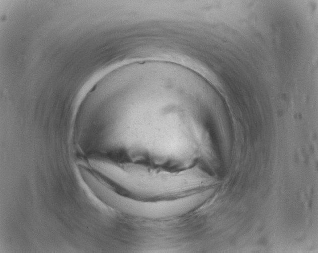 X0000076301536200610271901