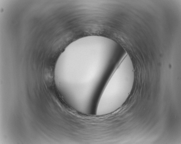 X0000076310040200609290805