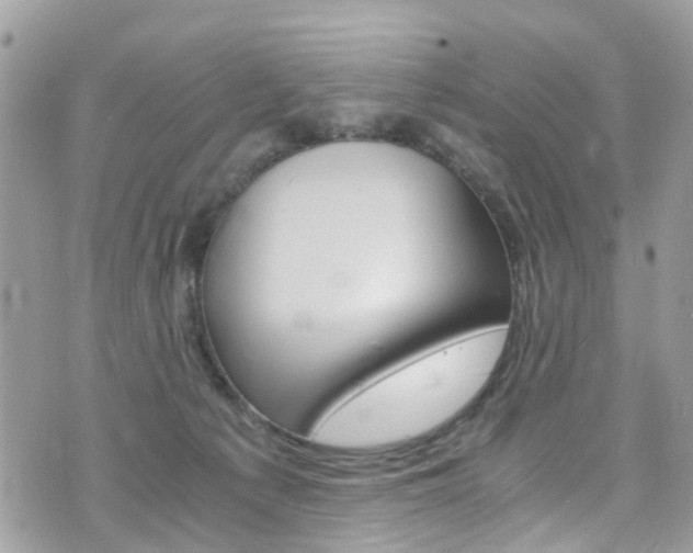 X0000076310225200609290802