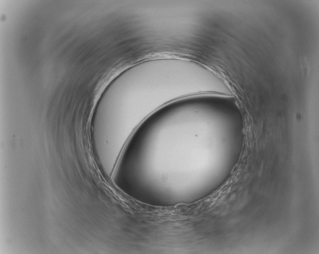 X0000076310289200609290801