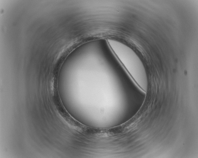 X0000076310404200609290759