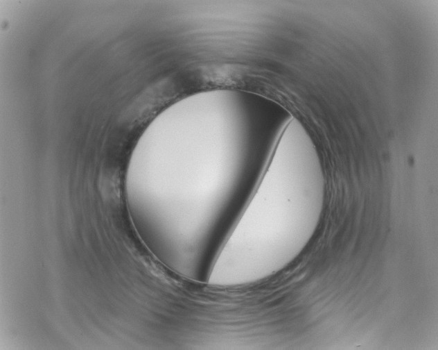 X0000076310466200609290758