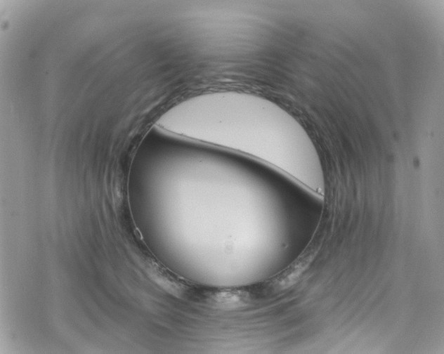 X0000076310566200609290757
