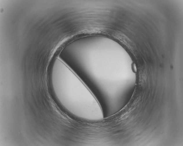 X0000076310584200609290756