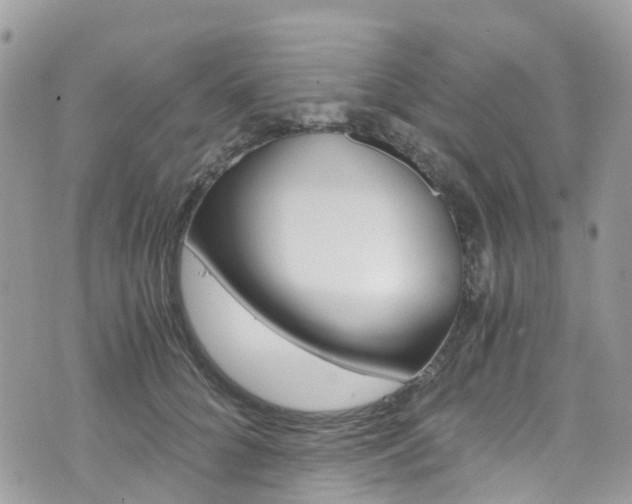 X0000076310704200609290754