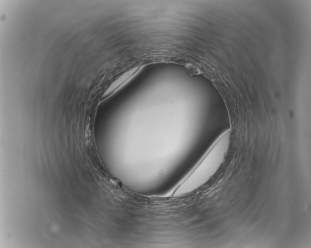X0000076310818200609290752