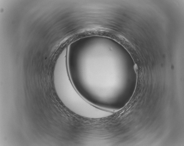 X0000076310822200609290752