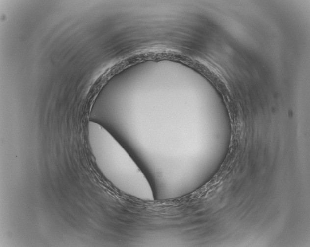 X0000076310823200609290752