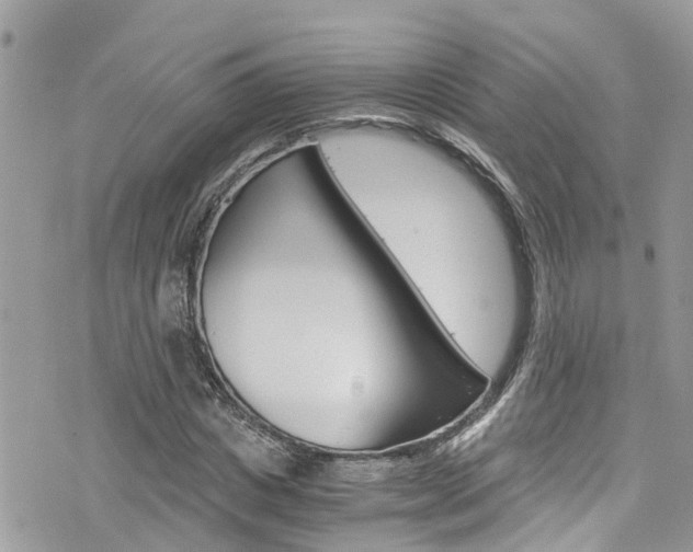 X0000076310825200609290752