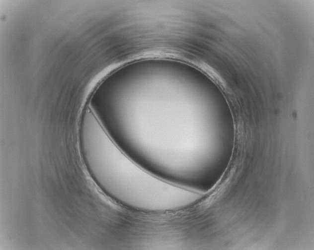 X0000076310854200609290752