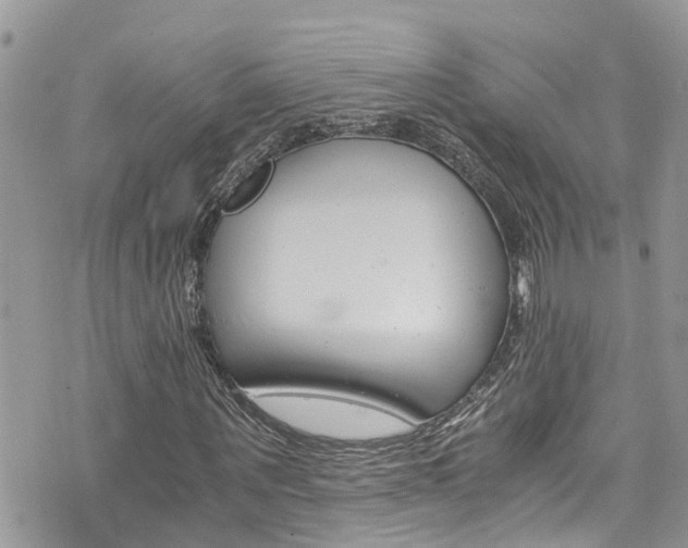 X0000076310867200609290751