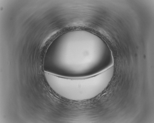 X0000076310872200609290751