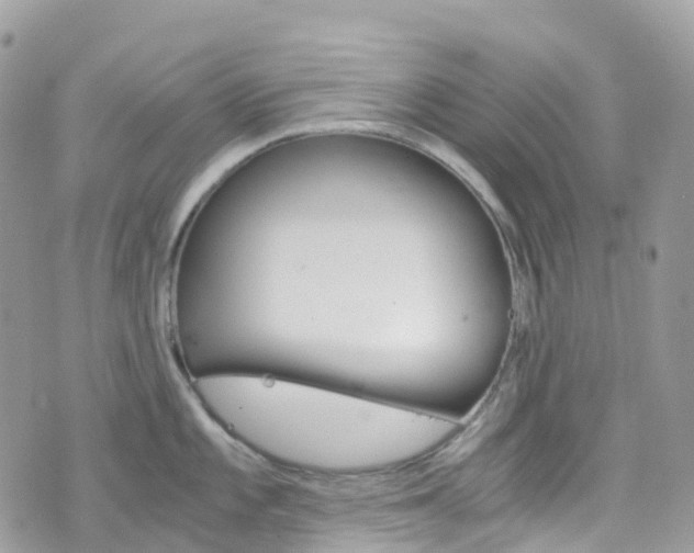 X0000076311101200609290748