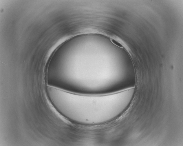 X0000076311142200609290747