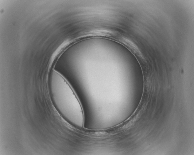 X0000076311180200609290746