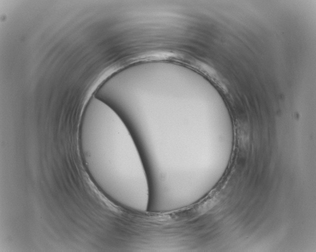 X0000076311186200609290746