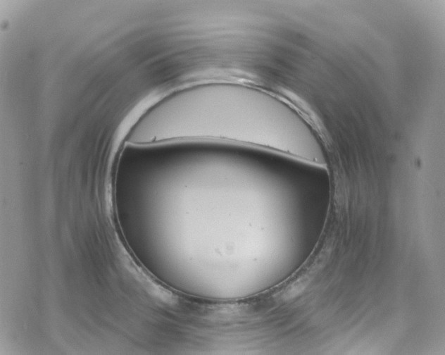 X0000076311188200609290746