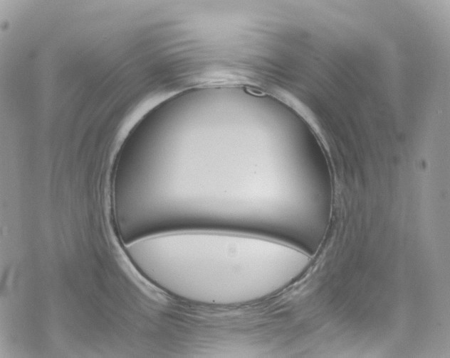 X0000076311195200609290746