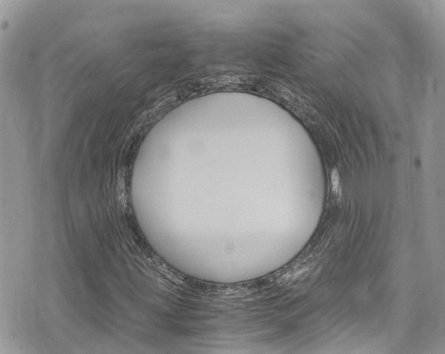 X0000076311203200609290745