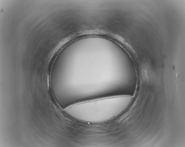 X0000076311221200609290746