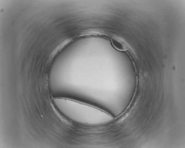 X0000076311233200609290746
