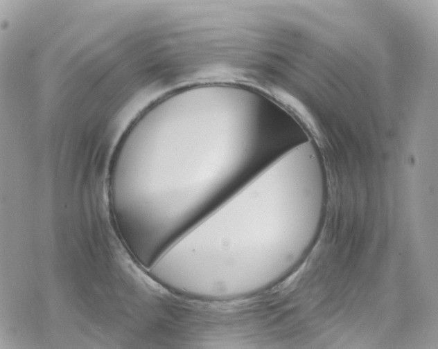 X0000076311288200609290745