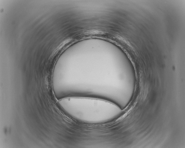 X0000076311305200609290744