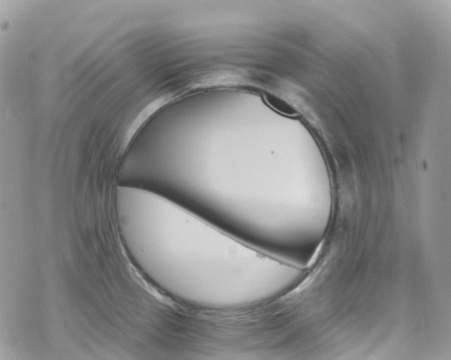 X0000076311337200609290744