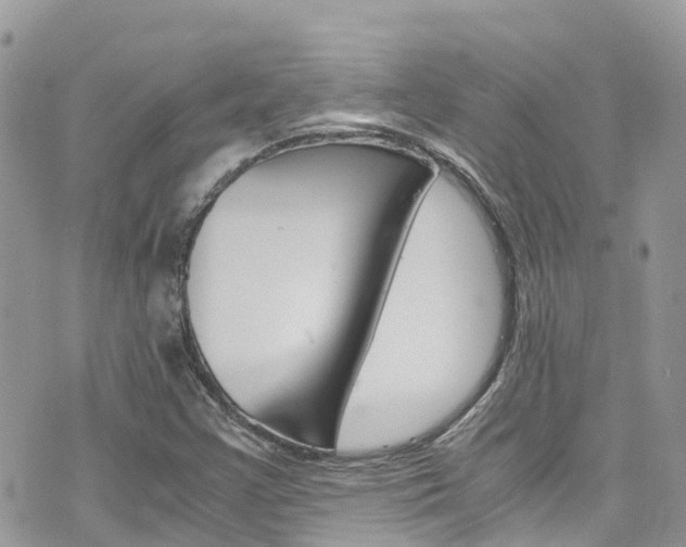X0000076311355200609290744