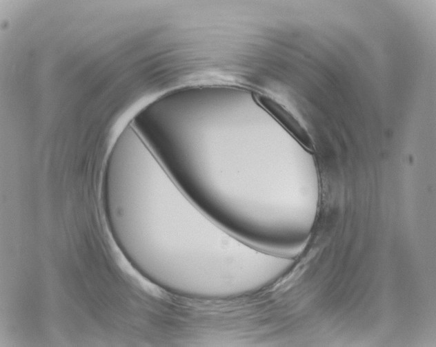 X0000076311387200609290743