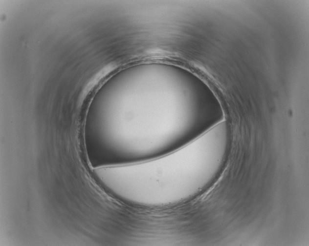 X0000076311410200609290742