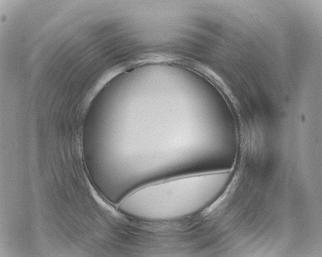 X0000076311433200609290743