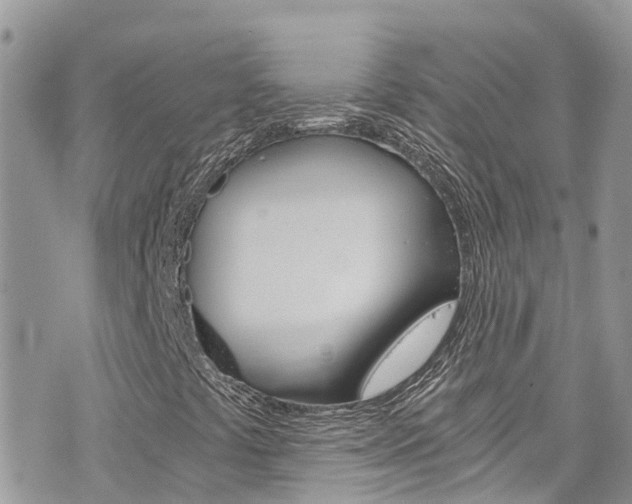 X0000076311441200609290742