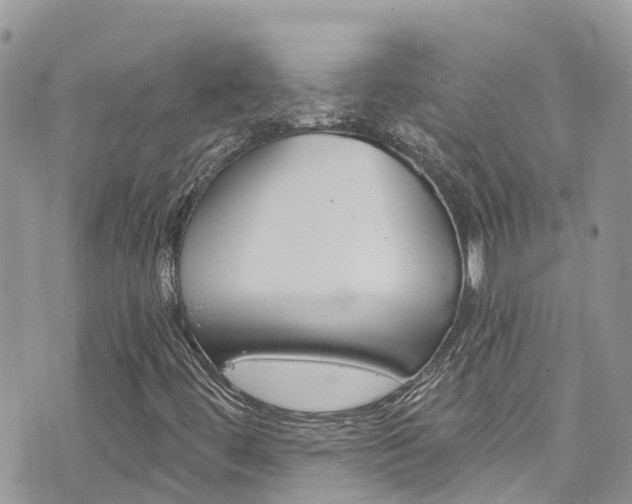 X0000076311444200609290742