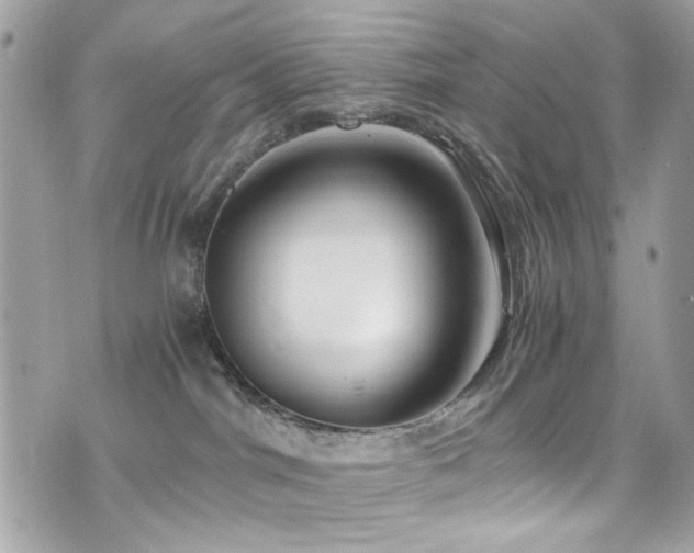 X0000076310044200609291112