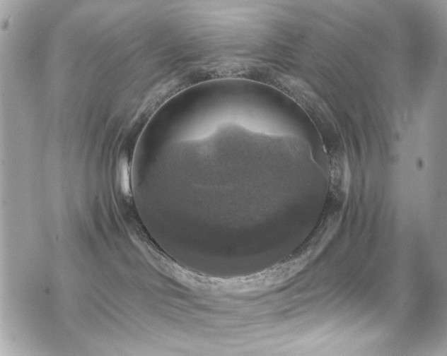 X0000076310046200609291112