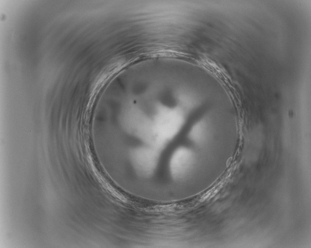 X0000076310049200609291111