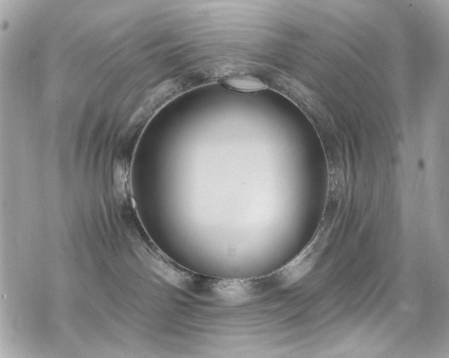 X0000076310142200609291110