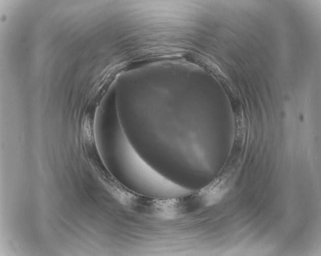 X0000076310143200609291110
